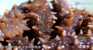 海參進(jìn)補(bǔ)從娃娃抓起，兒童吃海參的好處！