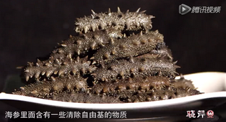 孝敬父母，為何首選海參？