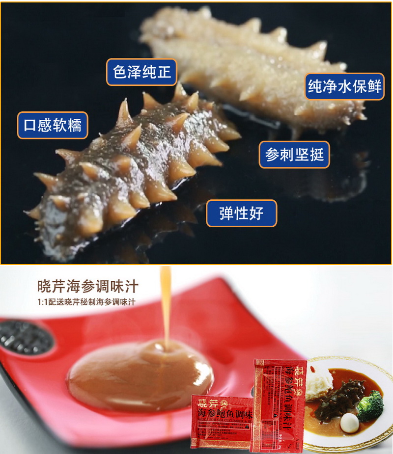 即食海參.jpg