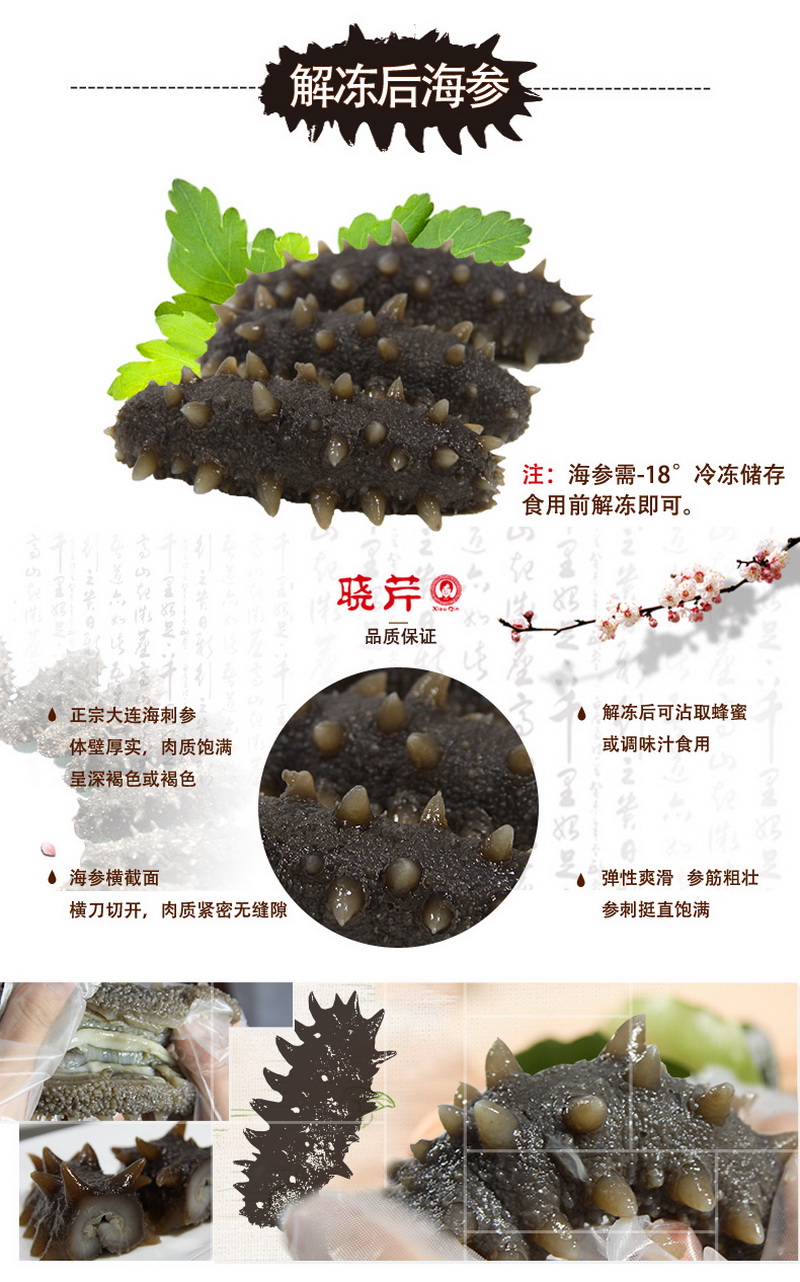 即食海參.jpg